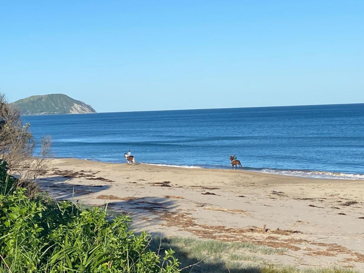 A Minute'S Walk To The Beach Gisborne Exterior photo